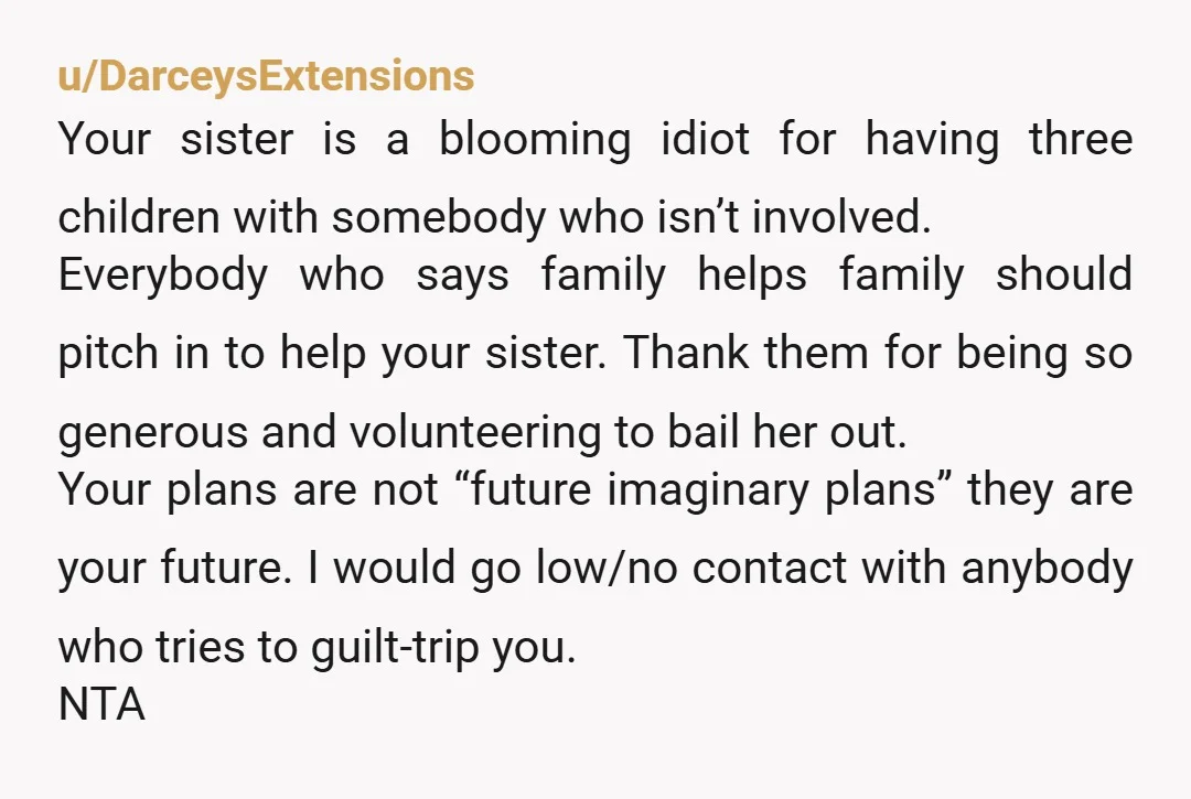 u/DarceysExtensions Your sister is a blooming idiot for having three children with somebody who isn’t involved. Everybody who says family helps family should pitch in to help your sister. Thank...