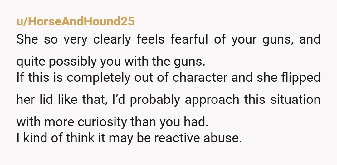 u/Beagly99 1. Lawyer 2. Remove the guns, before she shoots you OR she gets rid of them 3. Do exactly what your lawyer says. Crazy unfortunately never gets any better....