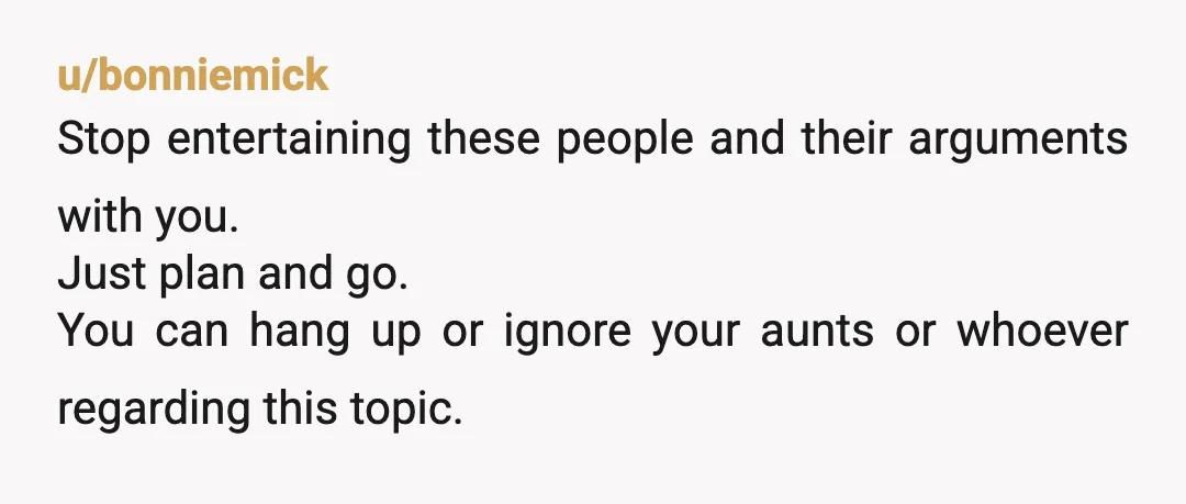 u/emogurl47 Pretty sure it's illegal to take children who don't belong to you to other countries to begin with. NTJ Your aunt and cousins sound entitled and it sounds like...