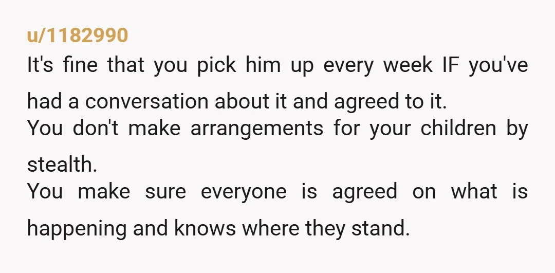 u/InterestingTrip5979 Why didn't you text her the same thing you wrote here. That she made assumptions without talking it over with you? I would tell her we are family but...