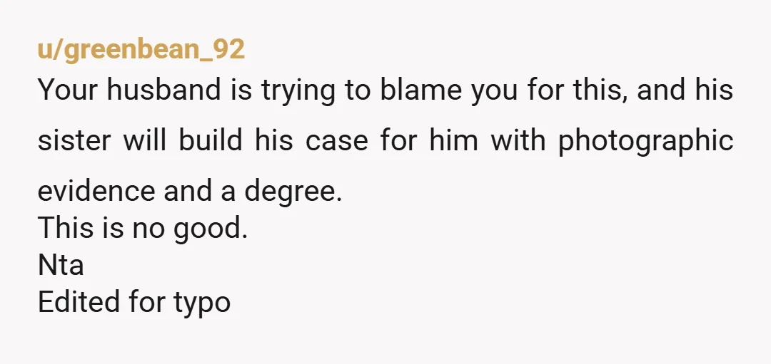 u/greenbean_92 Your husband is trying to blame you for this, and his sister will build his case for him with photographic evidence and a degree. This is no good. Nta...