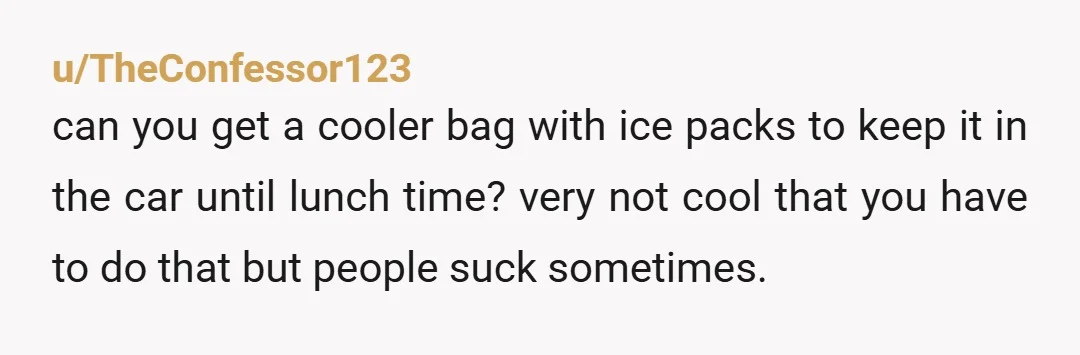 u/TheConfessor123 can you get a cooler bag with ice packs to keep it in the car until lunch time? very not cool that you have to do that but people...