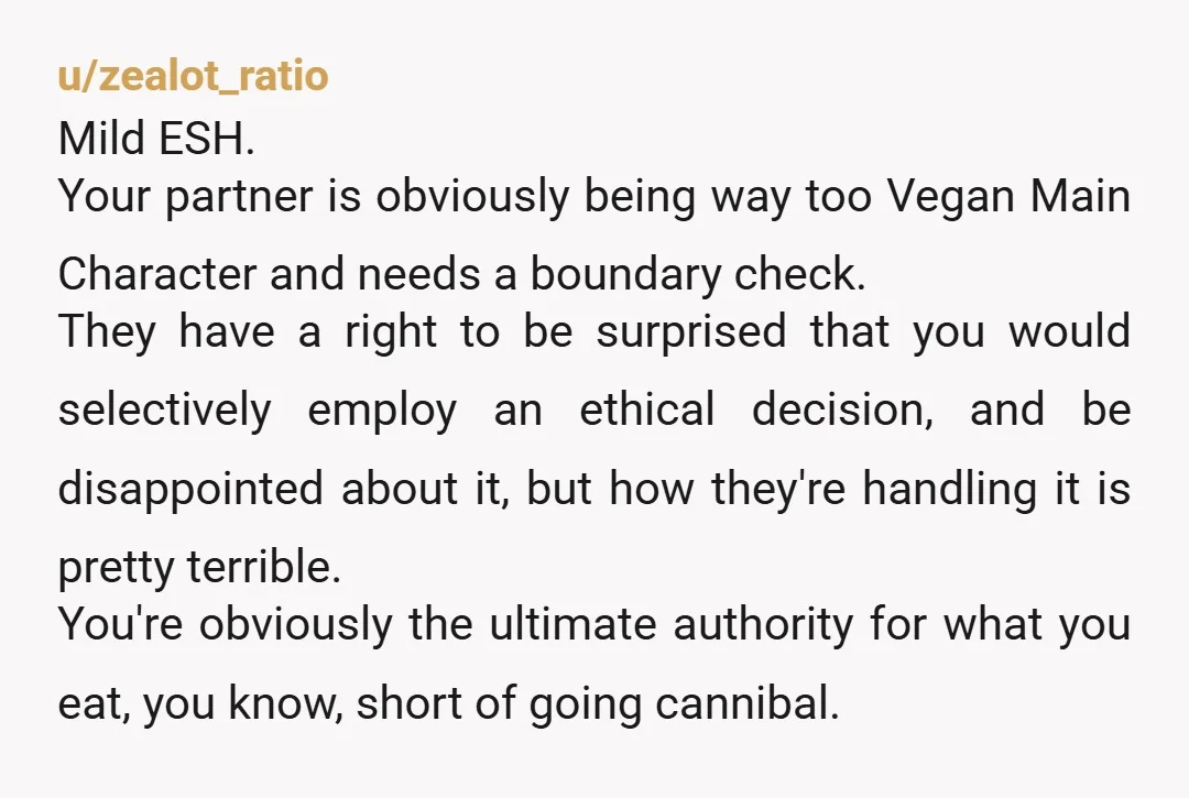u/Benocrates If it's a matter of ethics for your partner why are you surprised he has a problem with this? If your partner was doing something you thought was unethical...