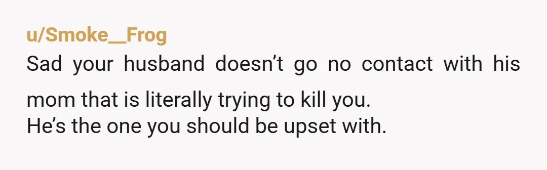 u/Individual_Cloud7656 So your MIL knowingly puts your life in jeopardy. You call the police and now you're asking AITA because your sil is mad. It might have been believable if...