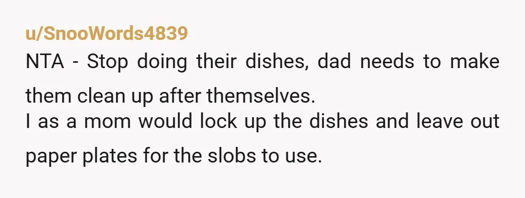 u/SnooWords4839 NTA - Stop doing their dishes, dad needs to make them clean up after themselves. I as a mom would lock up the dishes and leave out paper plates...