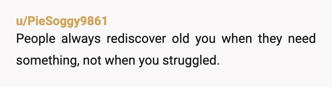 u/PieSoggy9861
People always rediscover old you when they need something, not when you struggled.