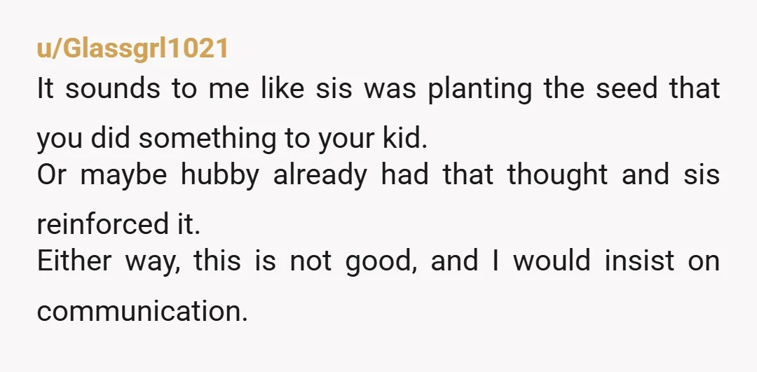 u/Glassgrl1021 It sounds to me like sis was planting the seed that you did something to your kid. Or maybe hubby already had that thought and sis reinforced it. Either...