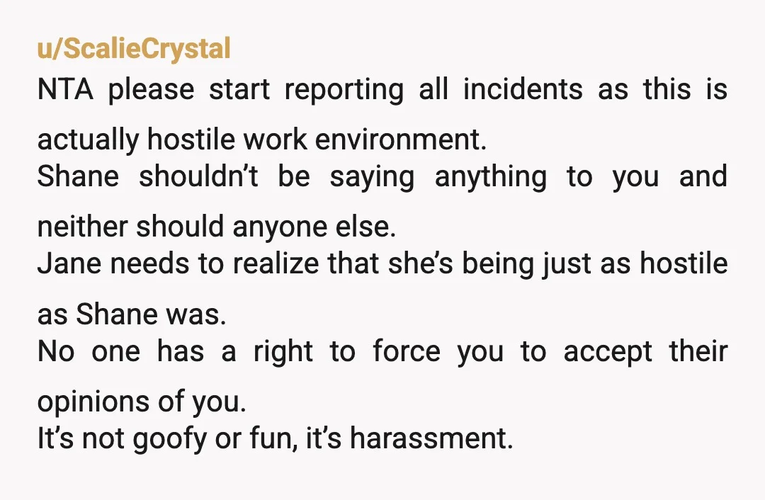 u/Comfortable-Focus123 NTA. You would be completely in the right to go to HR. However, honestly this company sounds like a circus, with Shane as the damn ringmaster. I have a...