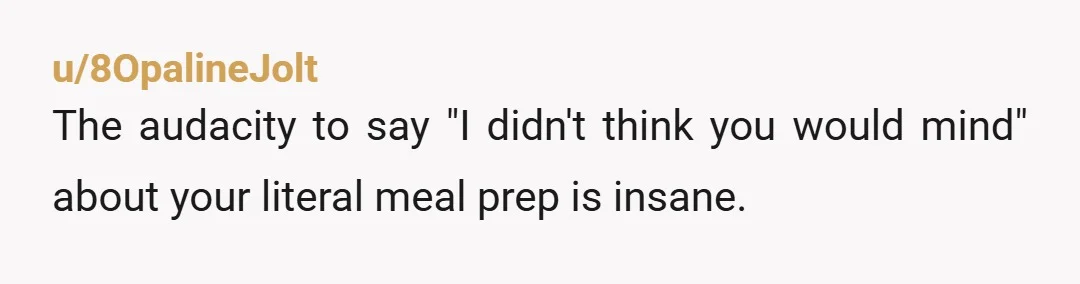 u/8OpalineJolt
The audacity to say "I didn't think you would mind" about your literal meal prep is insane.