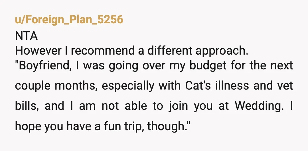 u/Foreign_Plan_5256 NTA  However I recommend a different approach.  "Boyfriend, I was going over my budget for the next couple months, especially with Cat's illness and vet bills, and I am...