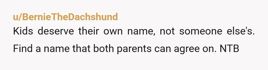 u/W0nderingMe
Just for other people reading this (it's too late for op):
Don't have children with with narcissistic, tantrum- throwing babies.