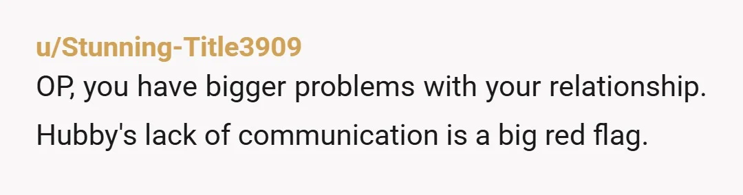 u/Stunning-Title3909
OP, you have bigger problems with your relationship. Hubby's lack of communication is a big red flag.