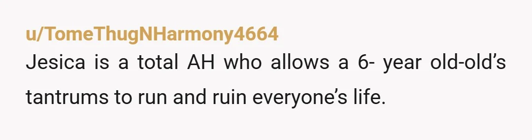 u/EviessVeralan NTA. The accusation of being kidnapped could have gotten you beaten or put in jail. If I were you i wouldn't take him anywhere else unless she actually starts...