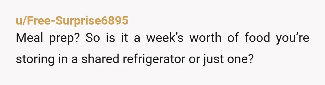 u/Sufficient-Wolf-1818 The fridge is for today’s meal, not a week’s worth of meals. I use a personal lunch box with frozen gel ice rather than the communal fridge