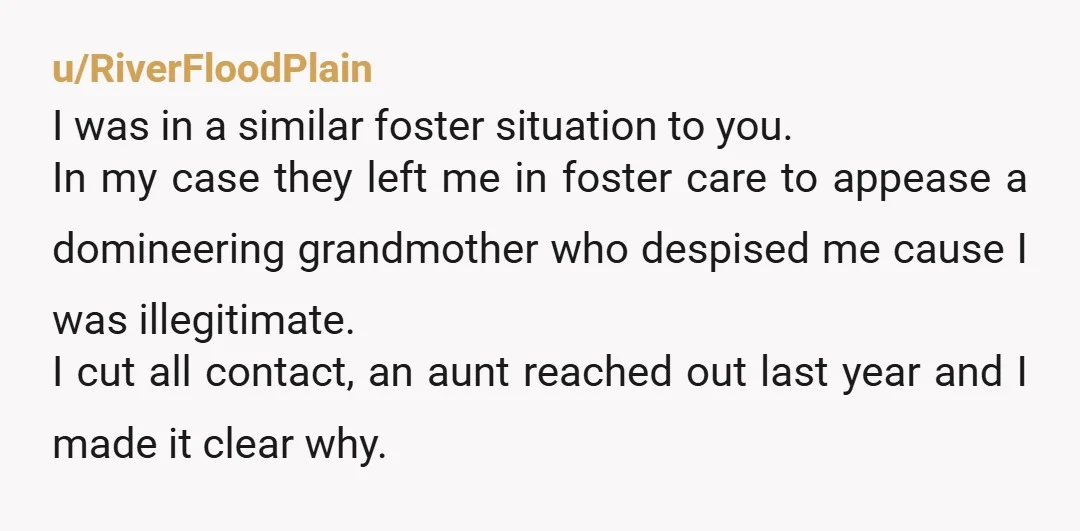 u/RiverFloodPlain I was in a similar foster situation to you. In my case they left me in foster care to appease a domineering grandmother who despised me cause I was...
