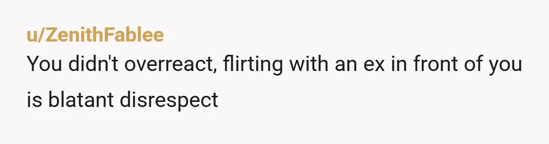 u/ZenithFablee
You didn't overreact, flirting with an ex in front of you is blatant disrespect