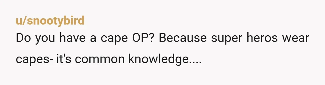 u/snootybird
Do you have a cape OP? Because super heros wear capes- it's common knowledge....