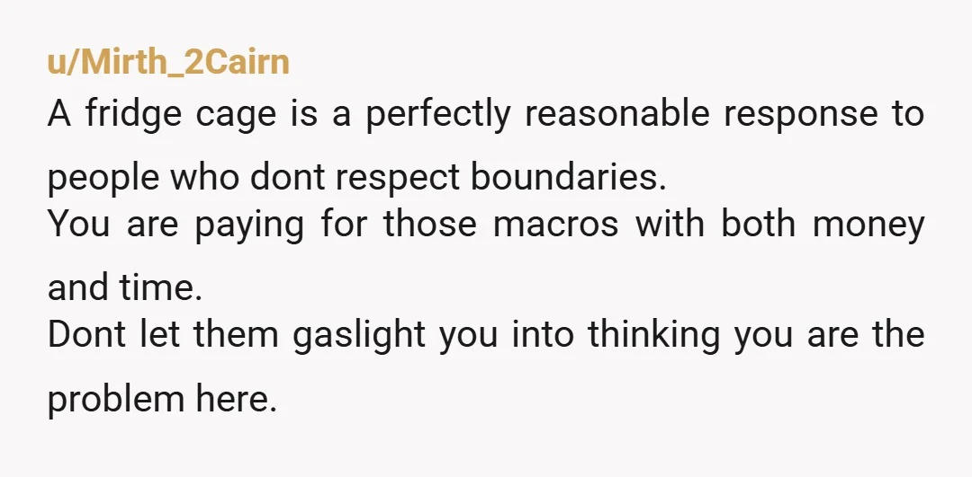 u/Mirth_2Cairn A fridge cage is a perfectly reasonable response to people who dont respect boundaries. You are paying for those macros with both money and time. Dont let them gaslight...