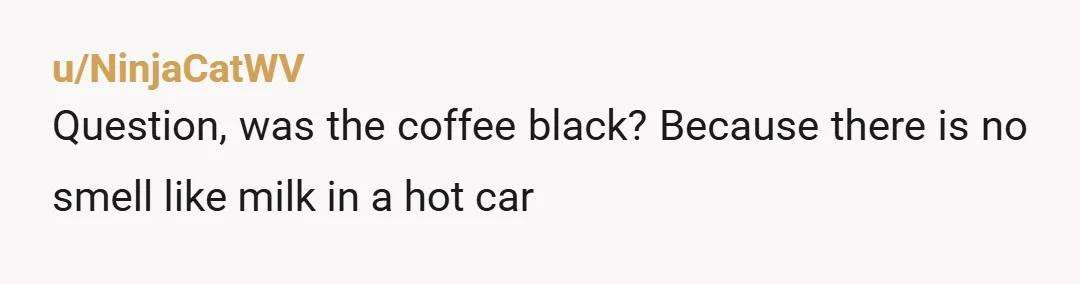 u/Naive_Market_9688 Never mind whose car it is thing - this woman got into your car with an uncovered cup of coffee, started fiddling around with the seat, spilled the coffee...