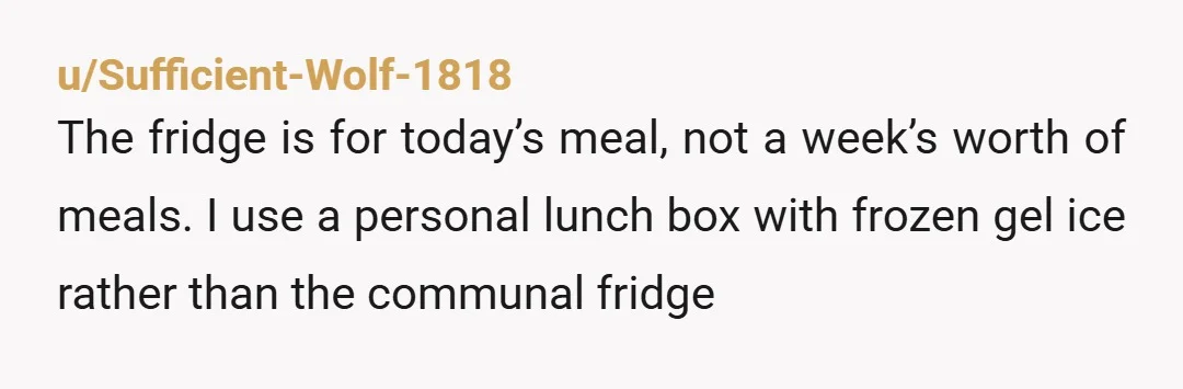 u/lazygerm I would probably buy a cooler that you can keep at your workstation/area. This way your food would be more secure. Or buy a lockable cooler/bag that you could...