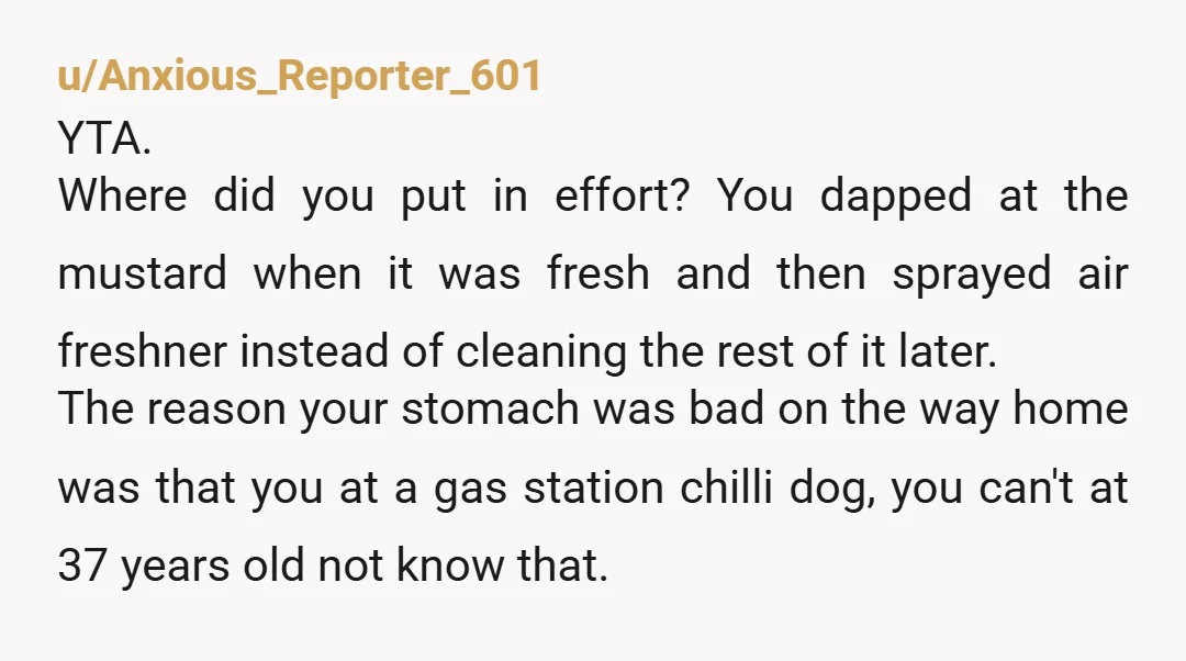 u/Brave-Code-1314 dude sounds pretty uptight about a chili dog spill, I mean accidents happen. you tried cleaning it and offered air freshener, so it feels kinda unfair of him to...