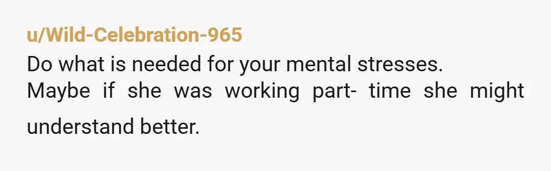 u/Wild-Celebration-965
Do what is needed for your mental stresses.
Maybe if she was working part- time she might understand better.