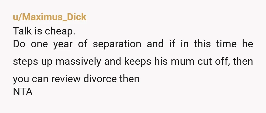u/SpeechDistinct8793 Girl even after being told you wanted a divorce he still brought his mommy with him, I need you to grow a backbone and think logically not emotionally about...