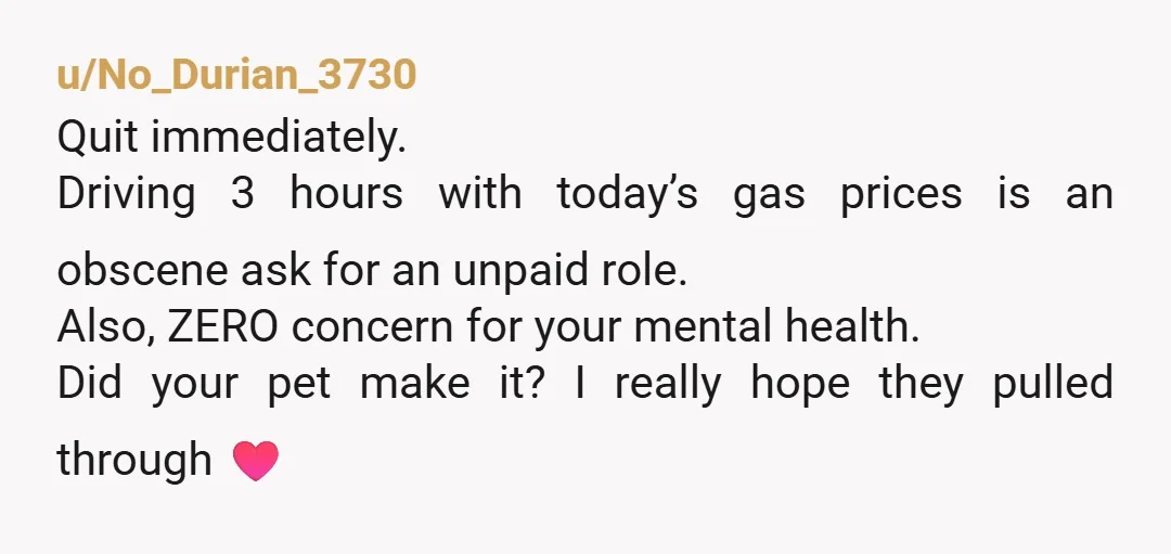 u/No_Durian_3730 Quit immediately. Driving 3 hours with today’s gas prices is an obscene ask for an unpaid role. Also, ZERO concern for your mental health. Did your pet make it?...