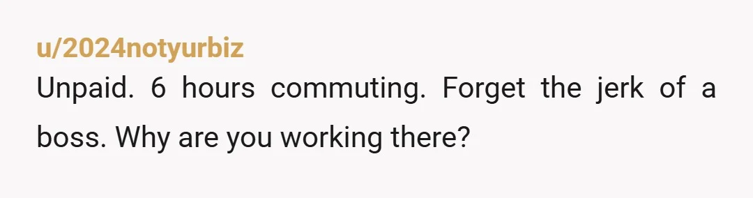 u/2024notyurbiz Unpaid. 6 hours commuting. Forget the jerk of a boss. Why are you working there?