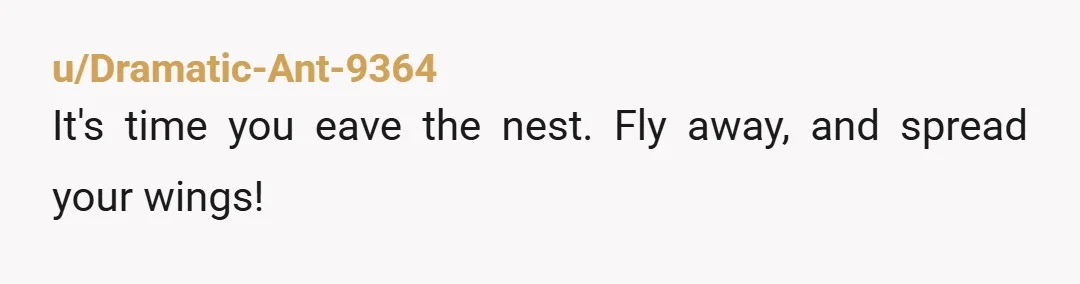 u/Dramatic-Ant-9364
It's time you eave the nest. Fly away, and spread your wings!