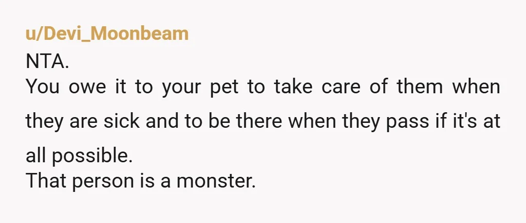 u/Devi_Moonbeam NTA. You owe it to your pet to take care of them when they are sick and to be there when they pass if it's at all possible. That...