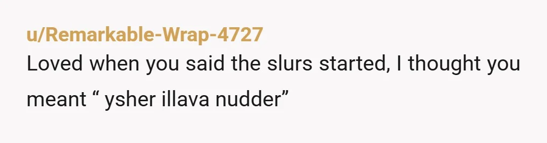 u/Remarkable-Wrap-4727
Loved when you said the slurs started, I thought you meant “ ysher illava nudder”