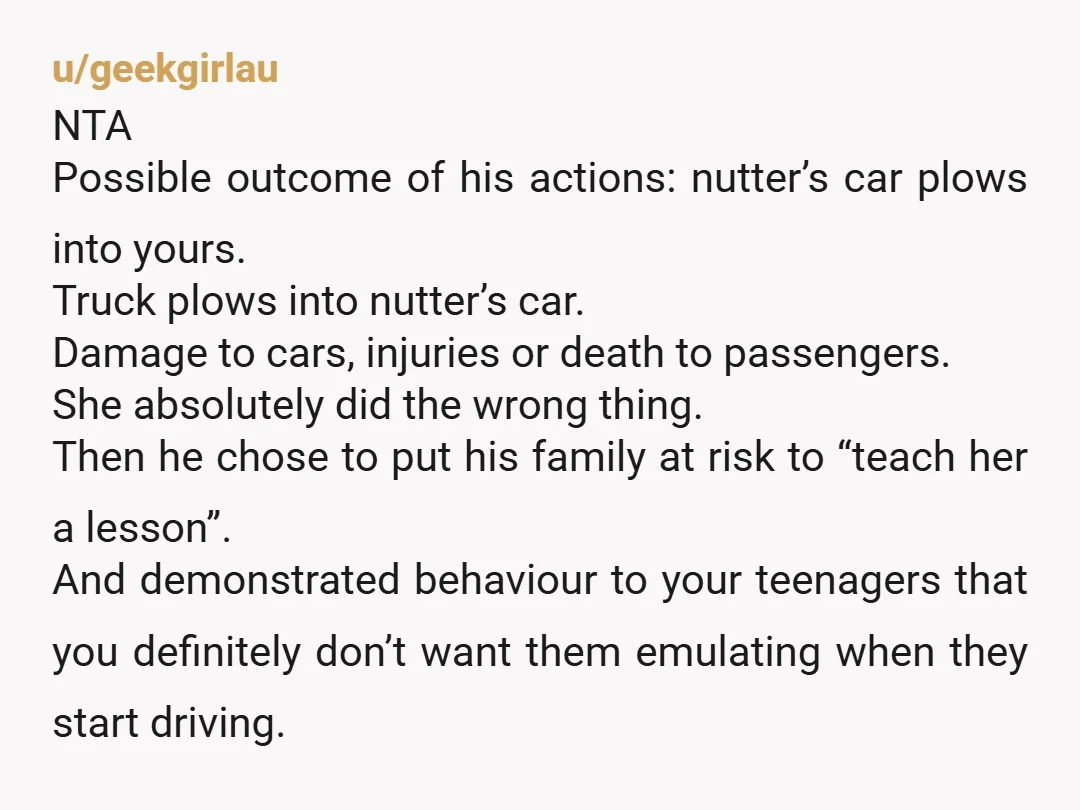 u/Present_Prize1882
he was wrong, he put you and his kids in danger by break checking that lady.