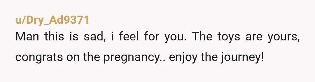 u/Dry_Ad9371
Man this is sad, i feel for you. The toys are yours, congrats on the pregnancy.. enjoy the journey!