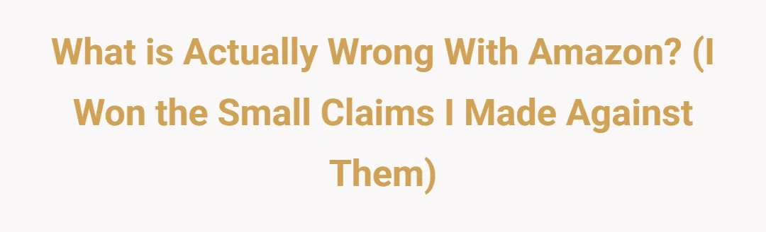 What is actually wrong with Amazon? (I won the Small Claims I made against them)