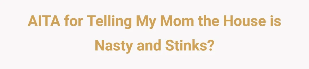 AITA for telling my mom the house is nasty and stinks?