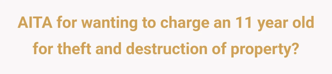 AITA for wanting to charge an 11 year old for theft and destruction of property?