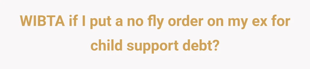 WIBTA if I put a no fly order on my ex for child support debt?