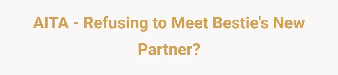 AITA - Refusing to meet besties new partner?