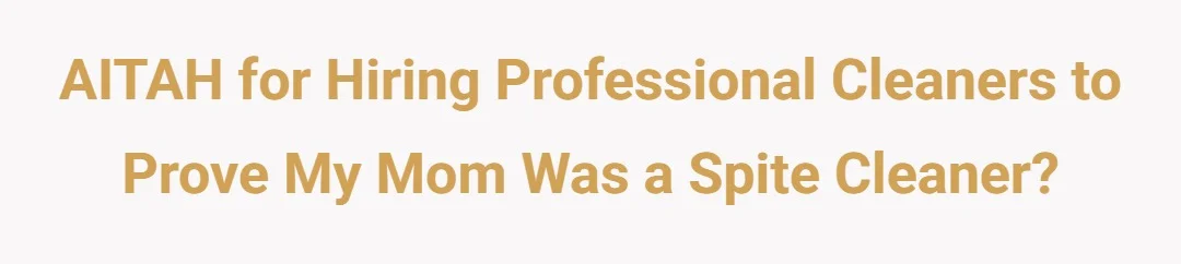 AITAH for hiring professional cleaners to prove my mom was a spite cleaner?