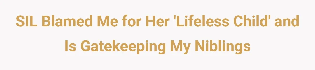 SIL blamed me for her 'lifeless child' and is gatekeeping my niblings