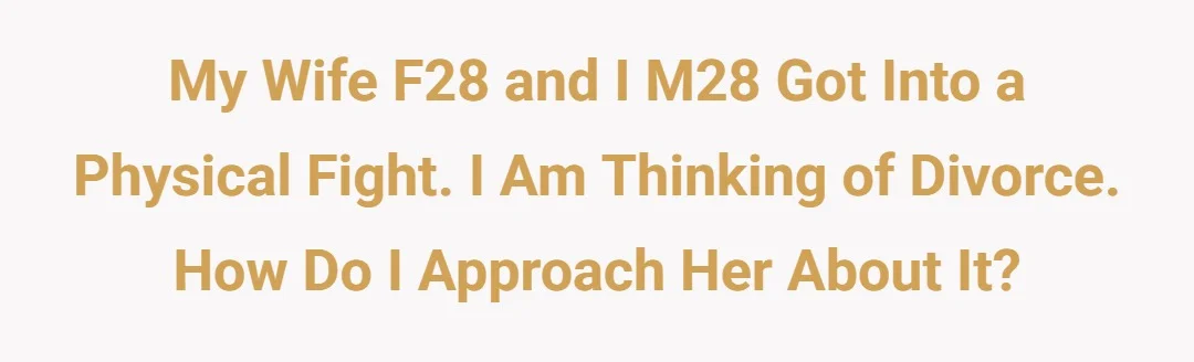 My wife F28 and I M28 got into a physical fight. I am thinking of divorce. How do I approach her about it?