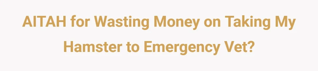 AITAH for wasting money on taking my hamster to emergency vet?