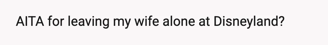 AITA for leaving my wife alone at Disneyland?