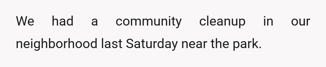 We had a community cleanup in our neighborhood last Saturday near the park.