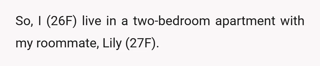 So, I (26F) live in a two-bedroom apartment with my roommate, Lily (27F).