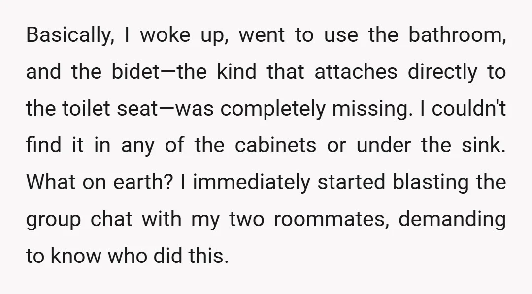 Basically, I woke up, went to use the bathroom, and the bidet—the kind that attaches directly to the toilet seat—was completely missing. I couldn't find it in any of the...