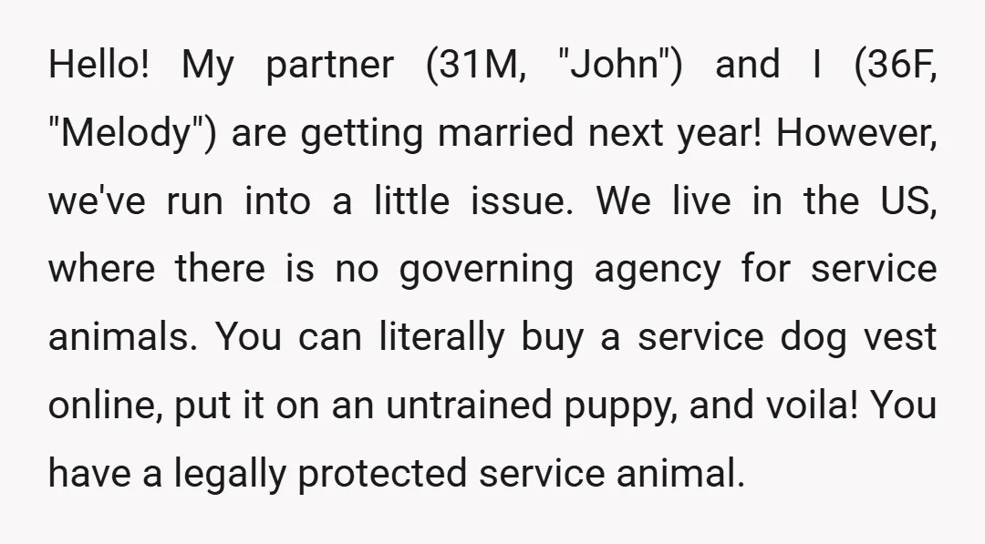 Hello! My partner (31M, "John") and I (36F, "Melody") are getting married next year! However, we've run into a little issue. We live in the US, where there is no...