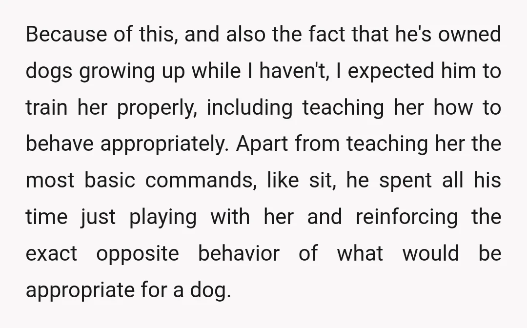 Because of this, and also the fact that he's owned dogs growing up while I haven't, I expected him to train her properly, including teaching her how to behave appropriately....