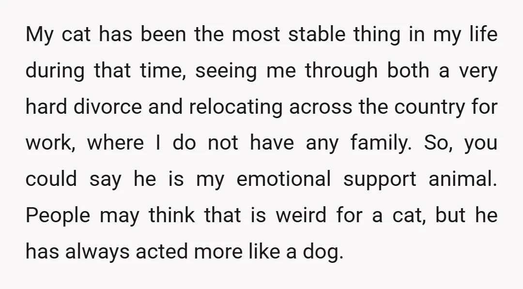 My cat has been the most stable thing in my life during that time, seeing me through both a very hard divorce and relocating across the country for work, where...